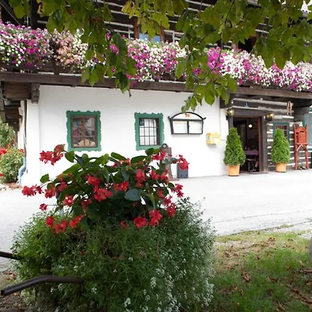 Tischlerwirt Guest house *