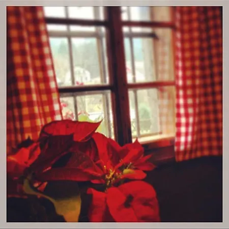 Guest house Tischlerwirt *